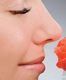什么是鼻甲肥大？